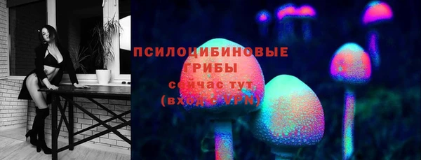 гидра Елабуга