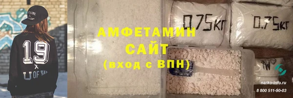 гидра Елабуга
