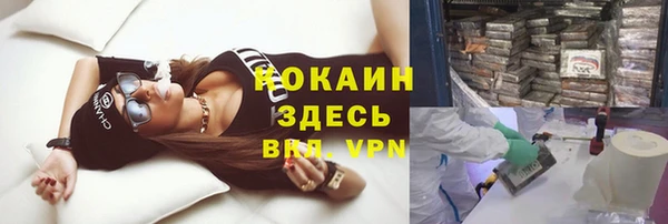 гидра Елабуга