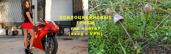 каннабис Ельня