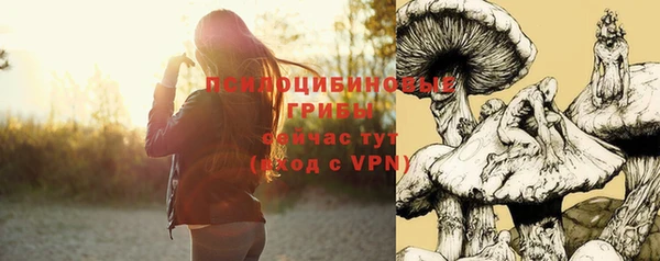каннабис Ельня