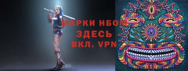 гидра Елабуга